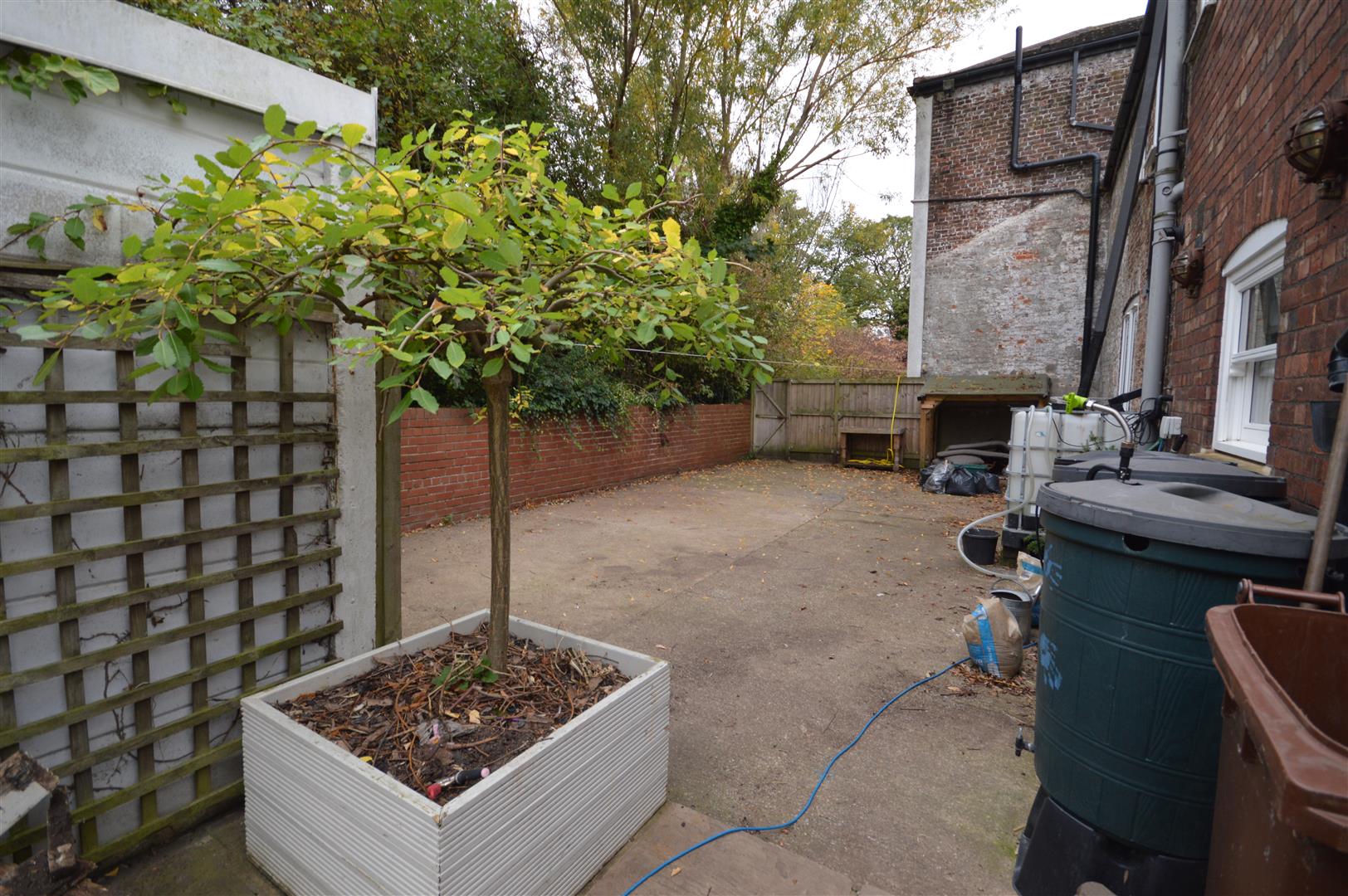 Property Image 45