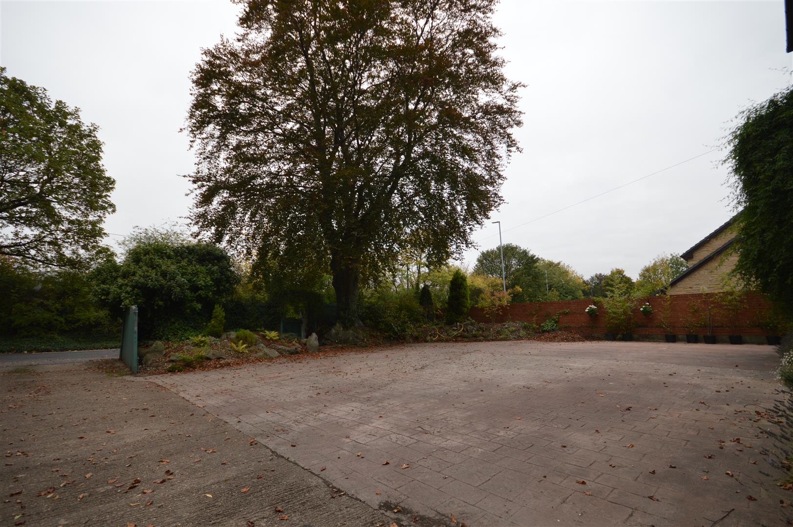 Property Image 56